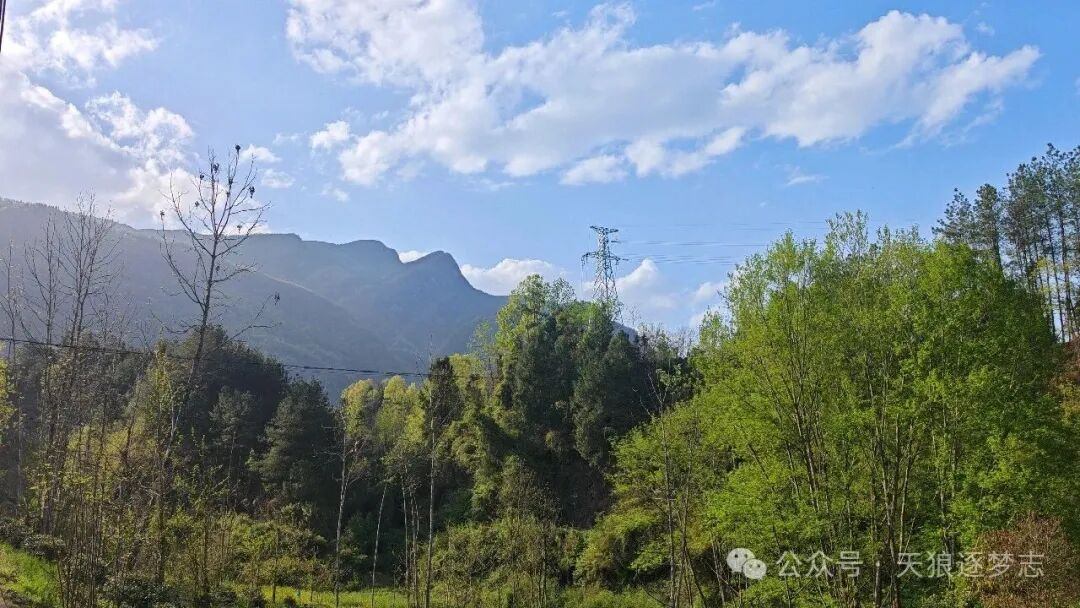 成年人回趟老家，就是一场悄无声息的心灵疗愈
